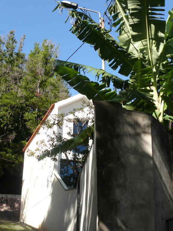 The Loft Junction Funchal (Madeira) Exterior foto